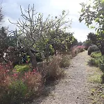 Hotel Masseria L'antico Frantoio 3*