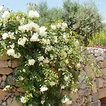 Masseria L'antico Frantoio Hotel 3*