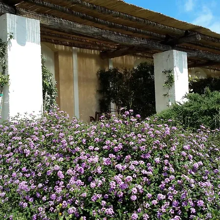 Masseria L'antico Frantoio Hotel Gallipoli